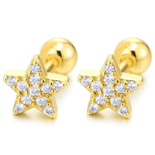 Star Gold Color Pentagram Stud Earrings with Cubic Zirconia, 2pcs Womens Steel, Screw Back