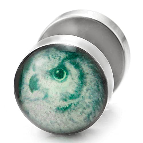 Mens Womens Steel White Teal Green Eagle Head Dome Circle Stud Earrings, Cheater Fake Ear Plugs - COOLSTEELANDBEYOND Jewelry